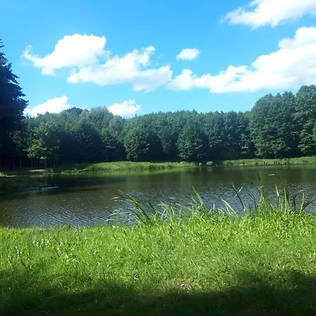 Oaza Zagozd 2 Semesterbostad Olchowiec (Drawsko)