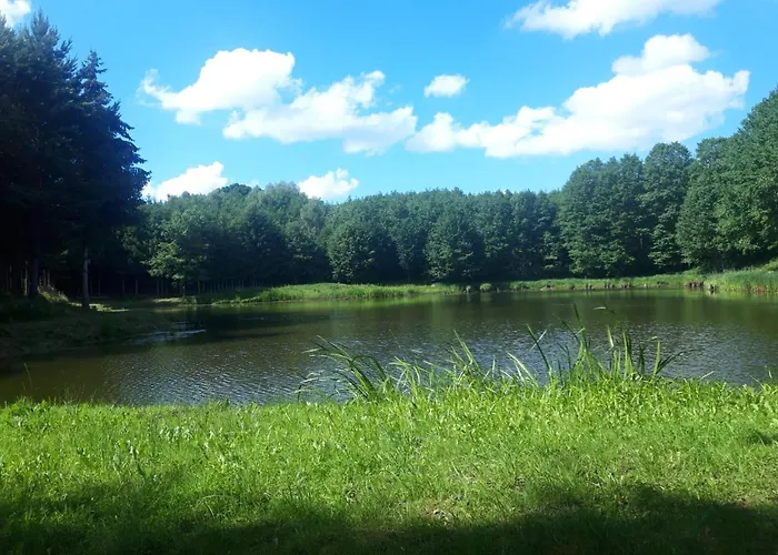 Oaza Zagozd 2 別荘 Olchowiec (Drawsko)